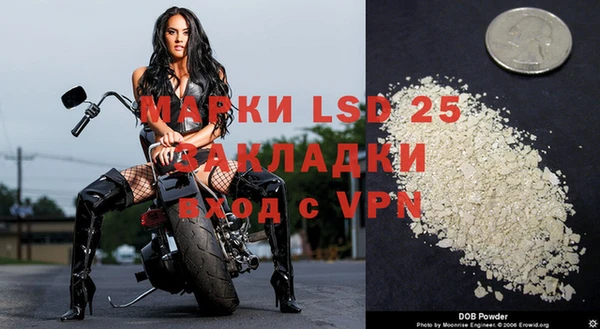 дживик Аркадак