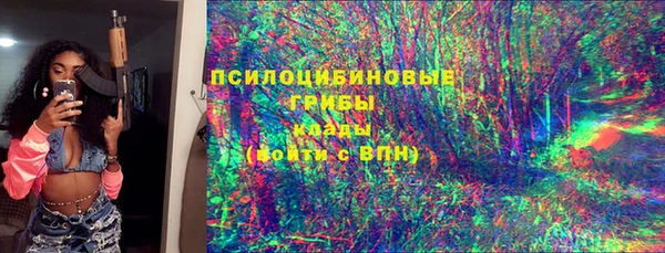 дживик Аркадак